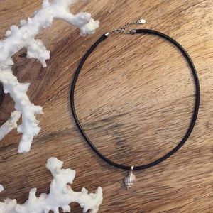 NEW never worn Silver Shell🐚 Necklace